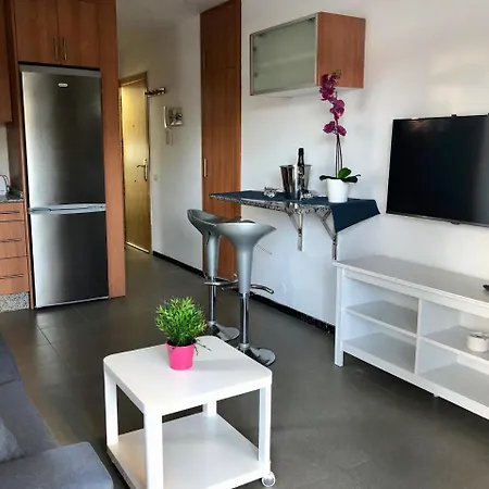Apartment Apartamento Ansite Planta Baja Playa Del Inlges *